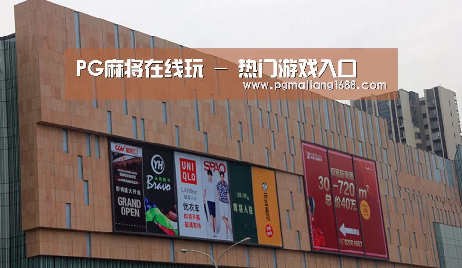 龙湖 · 金楠天街(图1)